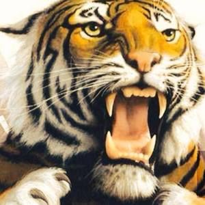 Meet your Posher, Lance